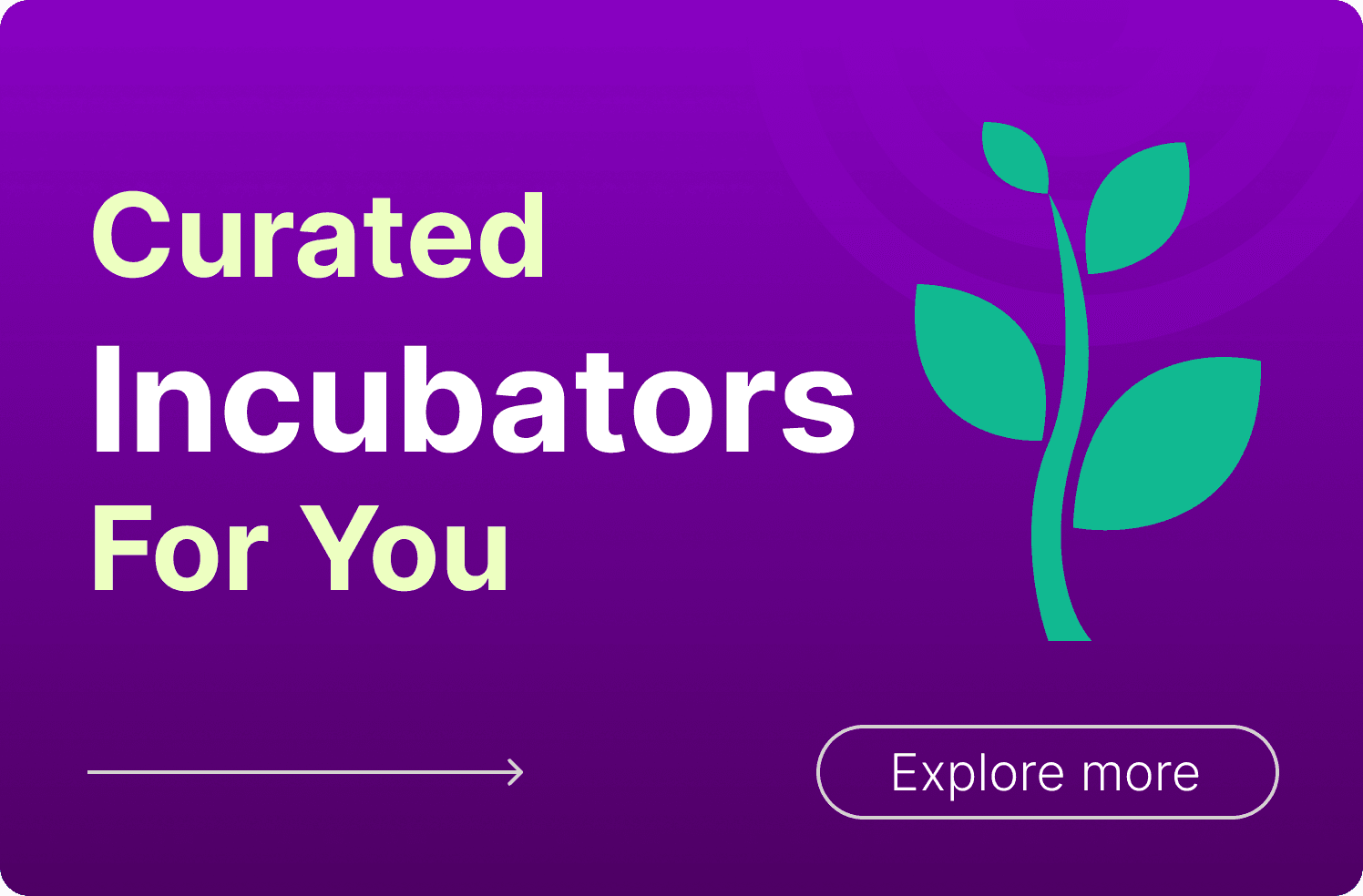 Curated Incubators for You